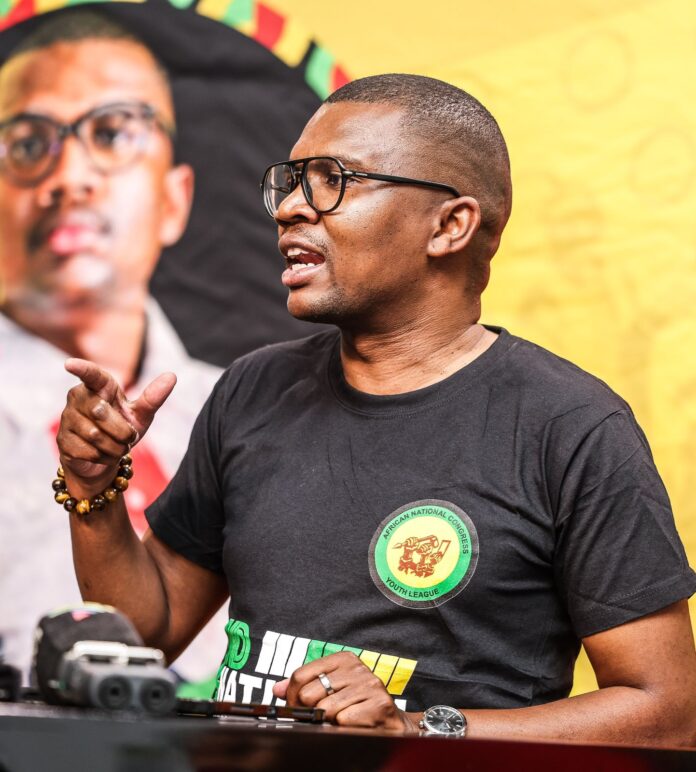 ANC Youth League president put on suspension by secretary-general