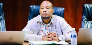 Appointment of Mbatha flagged