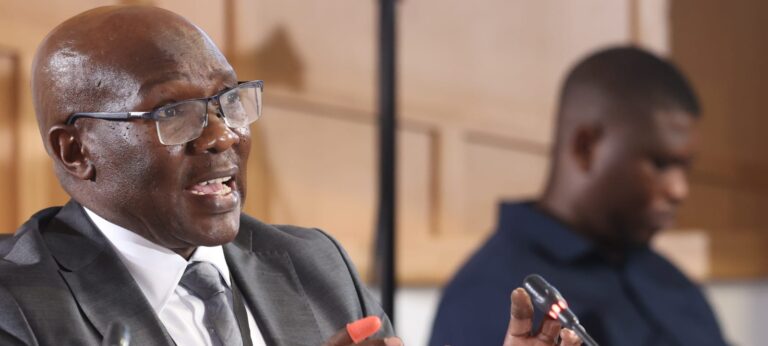 Parliamentary ad hoc committee hearing continues