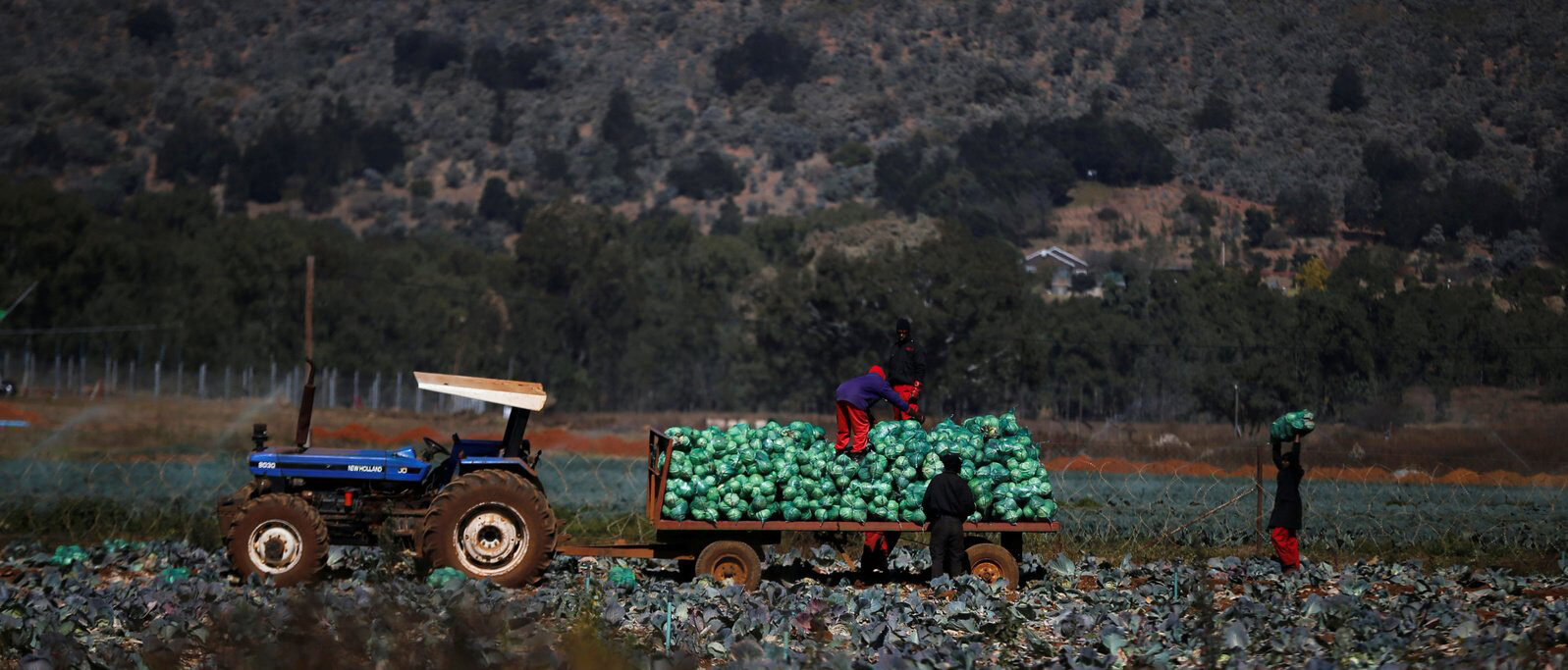 Police accused of protecting farmer suspected of lynching farm dweller 