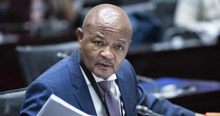 Suspended Police Minister Senzo Mchunu