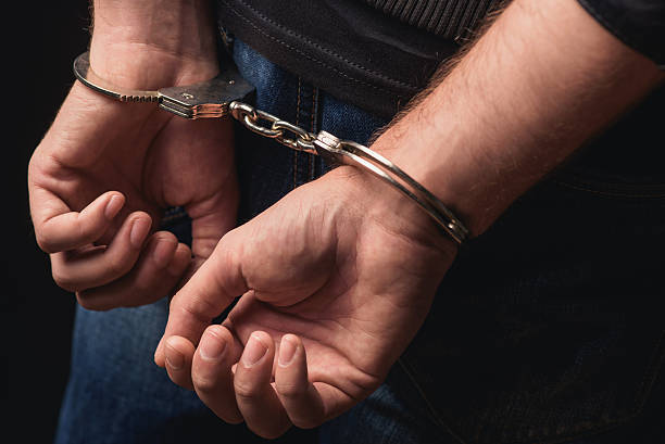 Hundreds arrested at border posts
