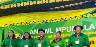 New Mpumalanga ANCWL leaders face court action