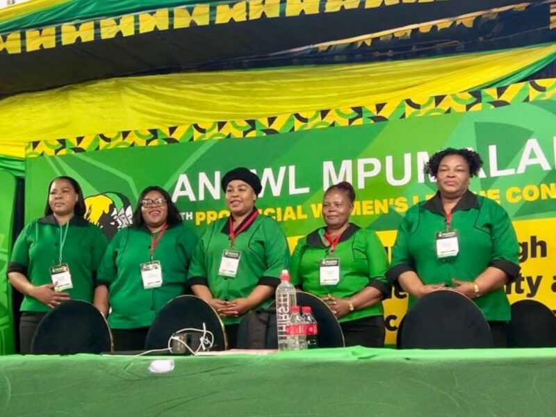 New Mpumalanga ANCWL leaders face court action