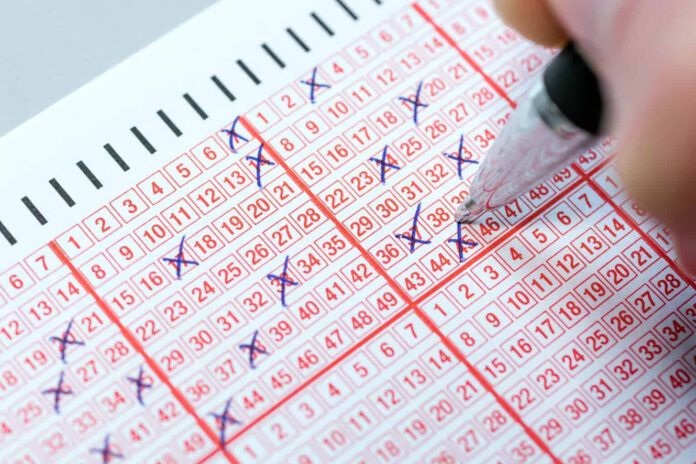Lotto results are out