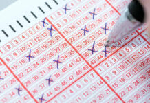 Lotto results for Wednesday, September 23 2026 Lotto results are out