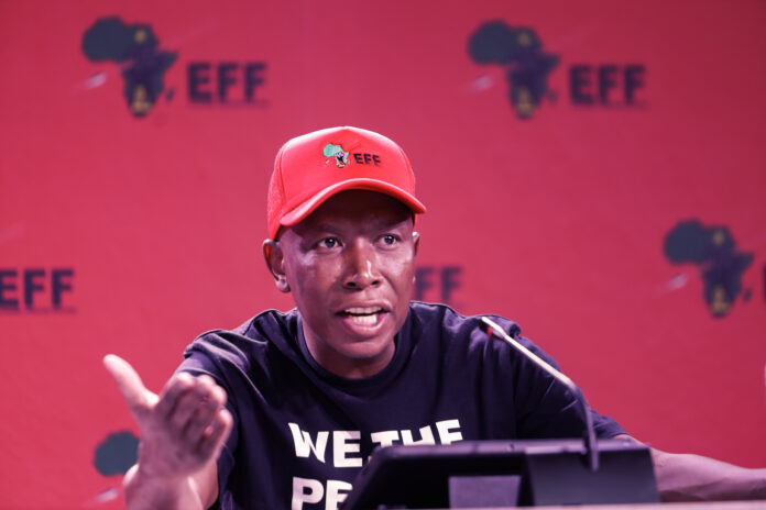 IEC accuses Malema of spreading lies
