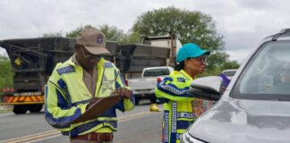 Mpumalanga road carnage claims lives of breadwinners