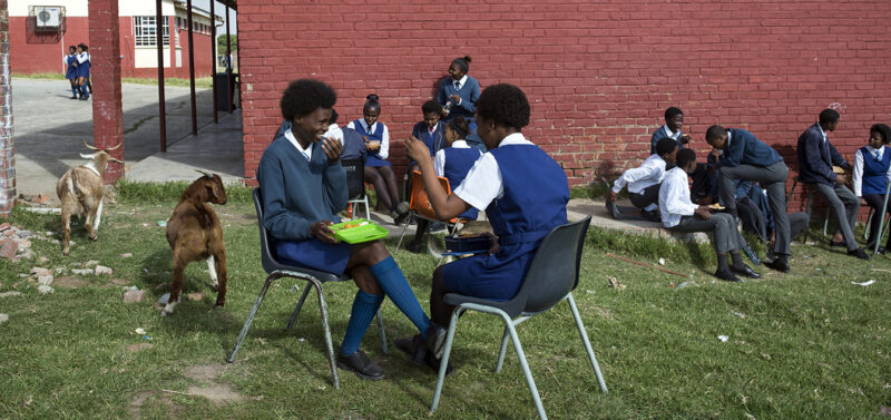 Learner struck by pole and dies in school premises