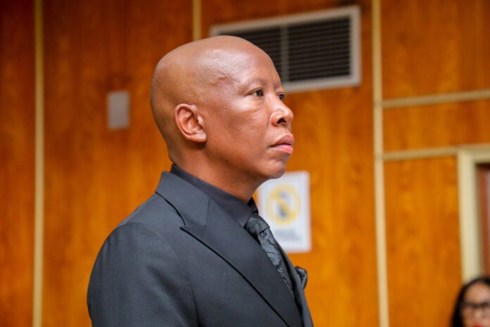 Malema gets jail term