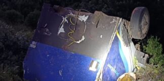 Limpopo crash claims five lives