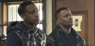 Mugabe son's case postponed again