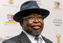 Finance Minister, Enoch Godongwana