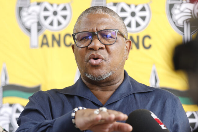 ANC secretary general, Fikile Mbalula gives West Rand a green light to go ahead with the regional conference