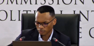 Gareth Mnisi back at Madlanga commission