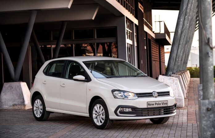 Polo vivo