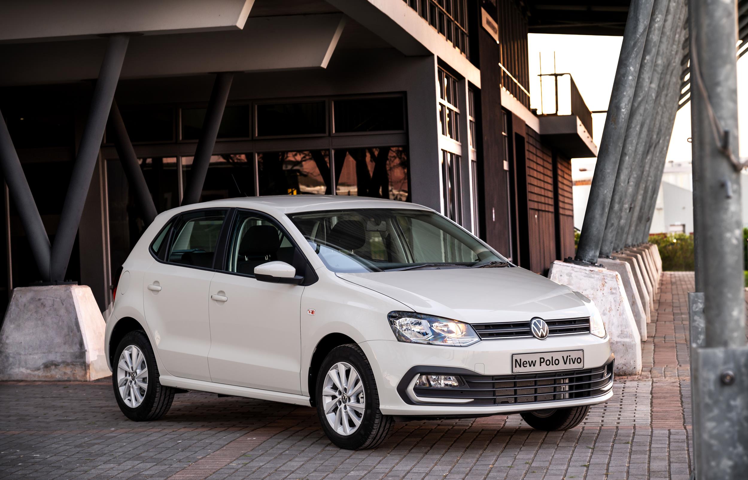 Polo vivo
