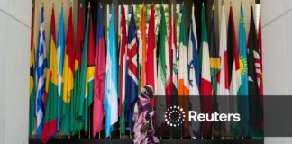 Africa's TDB tightens ownership after 'baby multilateral' dispute