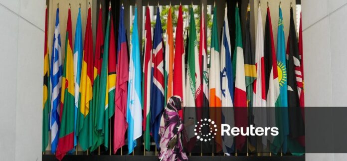 Africa's TDB tightens ownership after 'baby multilateral' dispute