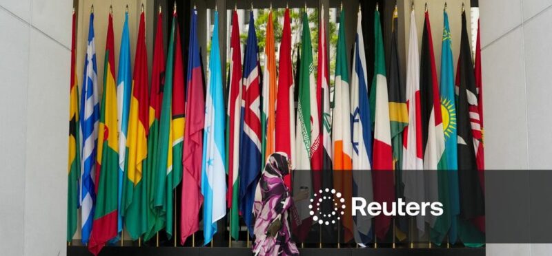 Africa's TDB tightens ownership after 'baby multilateral' dispute