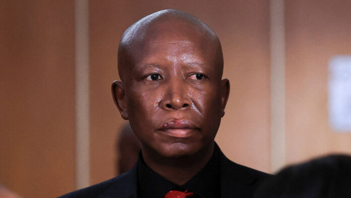 Malema's legal threat to Ngizwe Mchunu