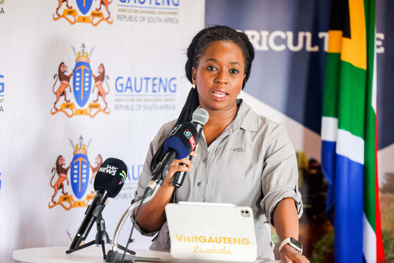 Panyaza Lesufi appoints Rise Mzansi’s Ramokgopa acting Gauteng premier