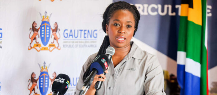 Panyaza Lesufi appoints Rise Mzansi’s Ramokgopa acting Gauteng premier