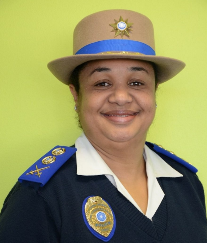 Yolande Faro takes the stand at Madlanga commission