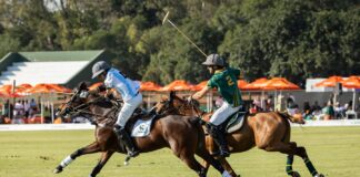 Nedbank International Polo is back