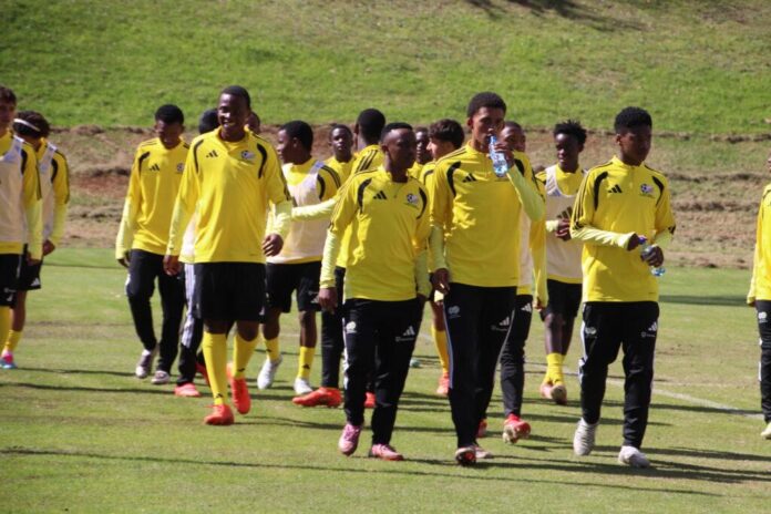 Amajimbos eye World Cup