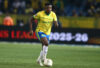 Teboho Mokoena has been a key player for Mamelodi Sundowns this season.