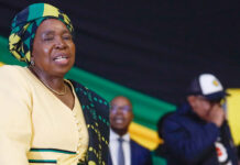 Dlamini-Zuma, Mcebisi Jonas to save ANC in metros?