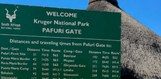 Kruger National Park murders