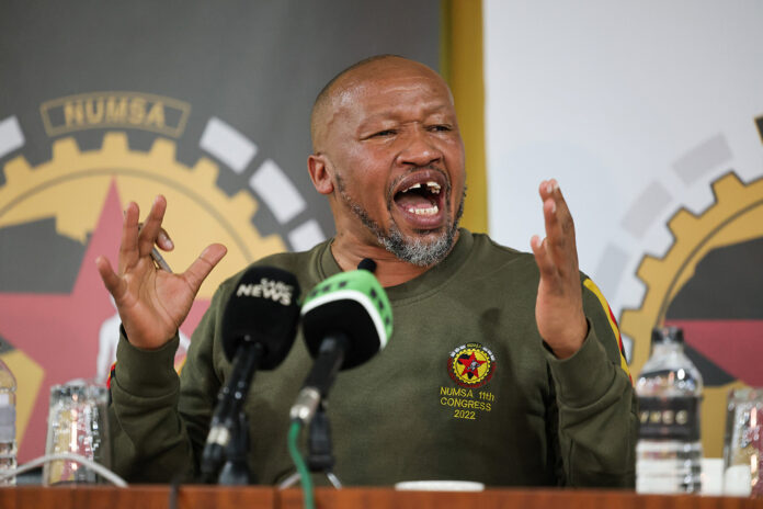 Numsa Investment Company suspends CEO