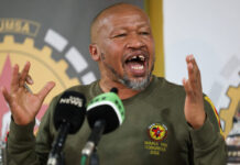 Numsa Investment Company suspends CEO