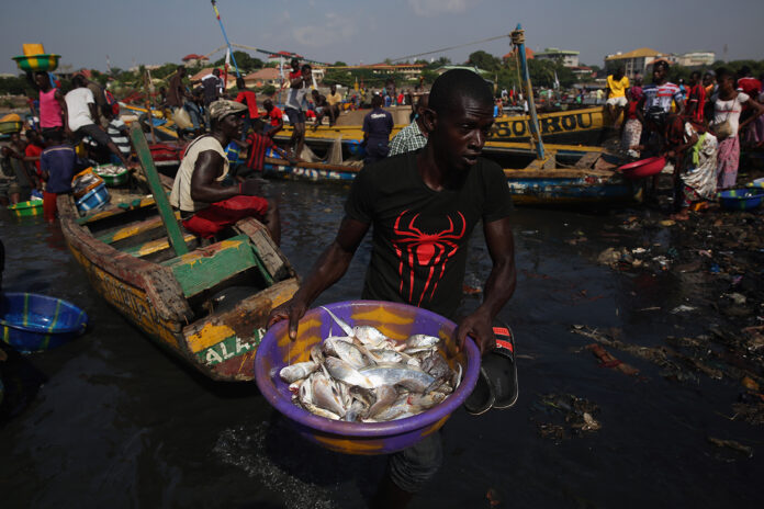 African nations push fisheries transparency at global summit