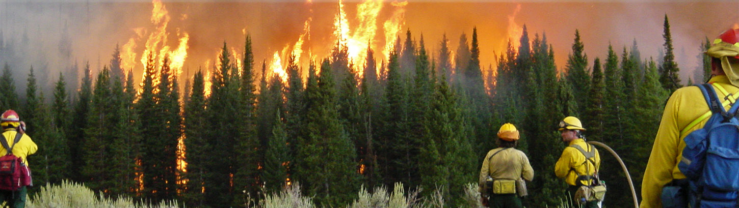 TEFLA Group welcomed judgment that went against Working on Fire over disputed contract