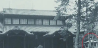 Japanese scholars call for return of Chinese relics looted during wartime