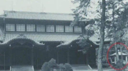 Japanese scholars call for return of Chinese relics looted during wartime