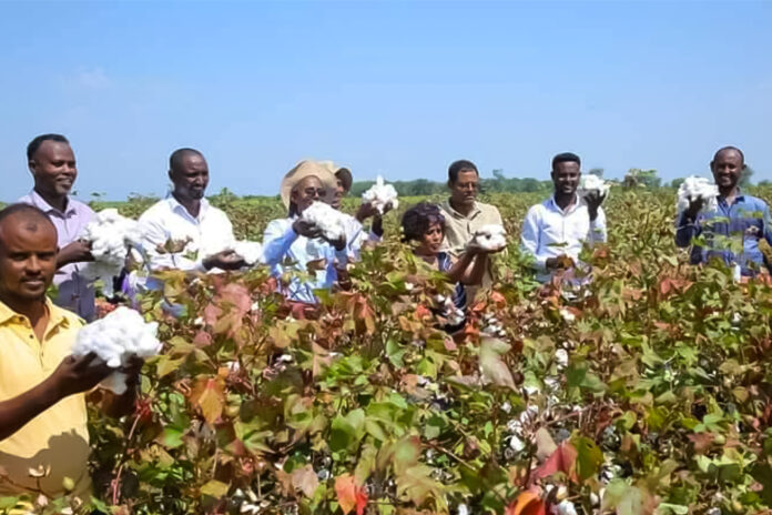 Can Ethiopia weave Africa's complete cotton-to-clothing value chain?