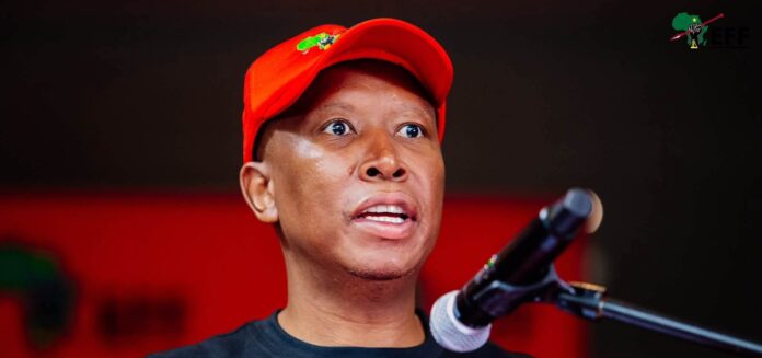 EFF leader, Julius Malema
