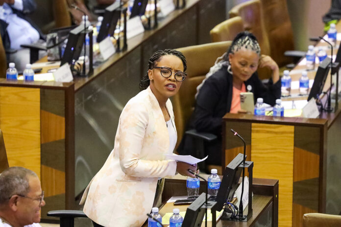 Ayanda Allie at the Gauteng Provincial Legislature during a debate