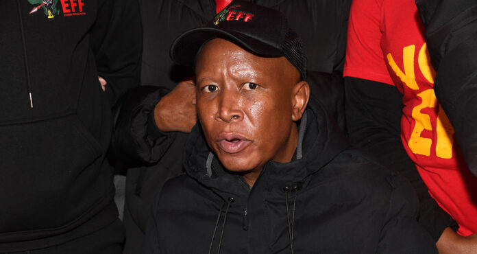 Maturing EFF eyes municipal breakthrough