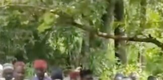 Abducted women, children, and older people sitting on grass in a social media video from an armed group in Nigeria's Niger State.