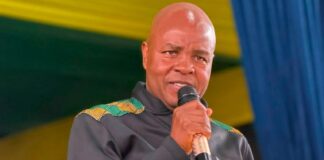 Mandla Ndlovu at a podium wrapped in ANC colours.