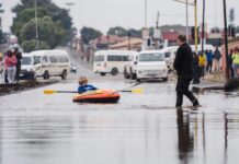 Tshwarelo eseng Mogakane | The Zille effect: Did Gogo Helen force ANC to put forward its own veteran? Helen Zille rowing a boat down a flooded street.