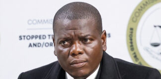 Minister of International Relations and Cooperation, Ronald Lamola.