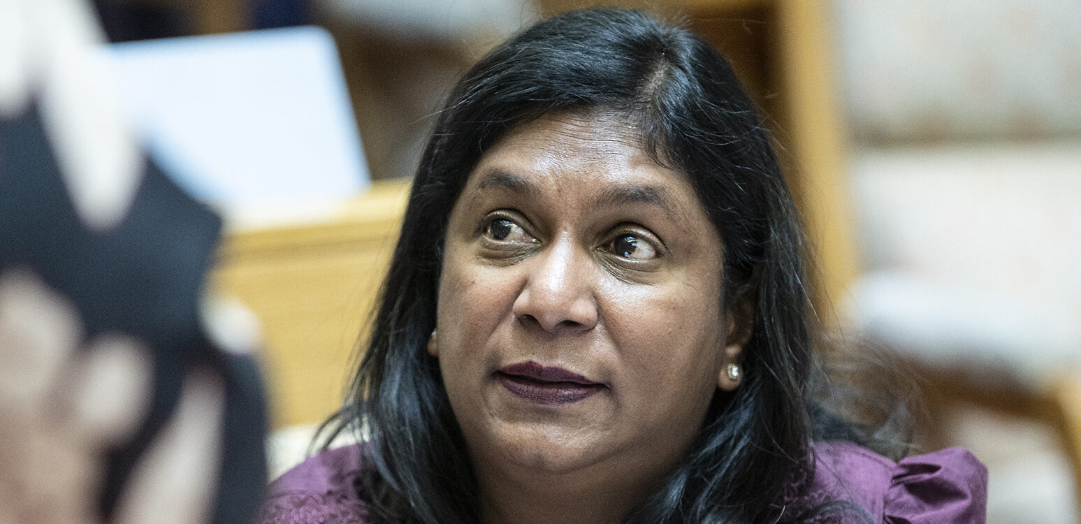 Former Idac head Andrea Johnson appearing before a parliamentary inquiry in Cape Town