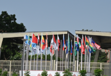 Watch: Why is BRICS called ‘golden bricks’ in China?
