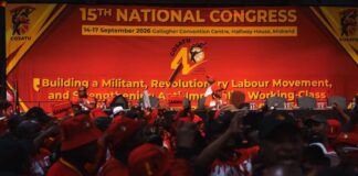 Crowd image from Cosatu congress
